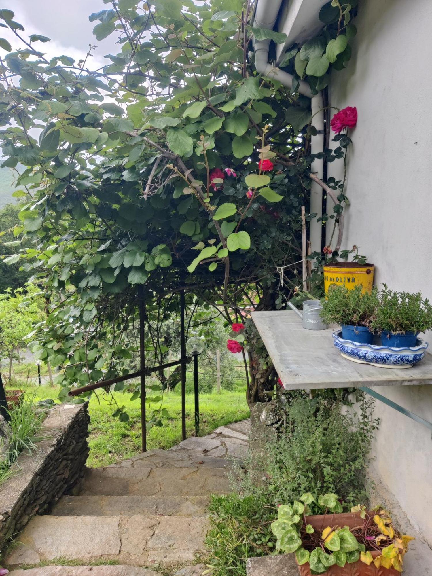 Ferienwohnung Casa Bartola Stella Zimmer foto